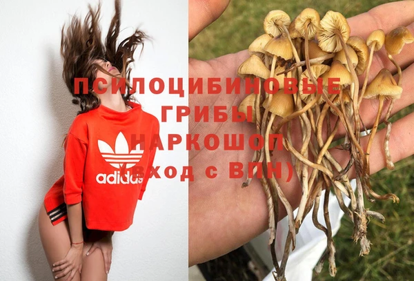 винт Верея