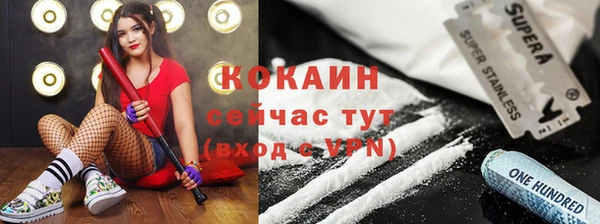 винт Верея