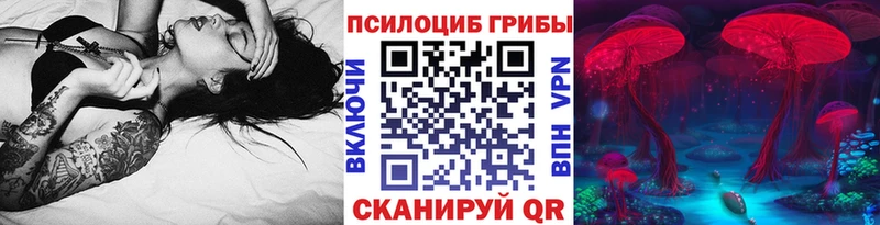 Купить закладки  Николаевск  Галлюциногенные грибы Psilocybe 